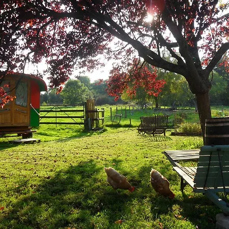 La Ferme Aux Histoires فندق مبيت وإفطار Ballon-Saint-Mars