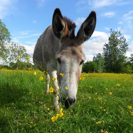 La Ferme Aux Histoires فندق مبيت وإفطار *